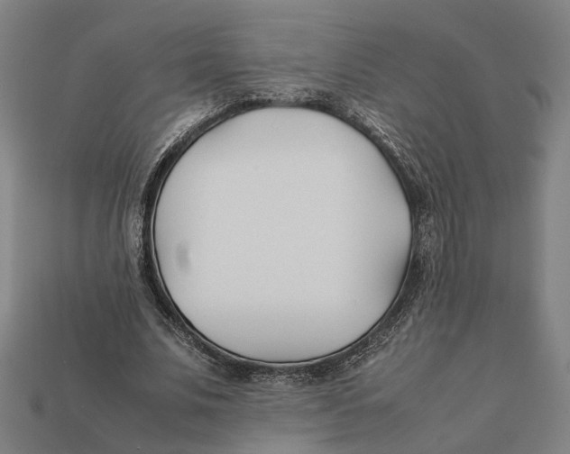 X0000112410679200909110950