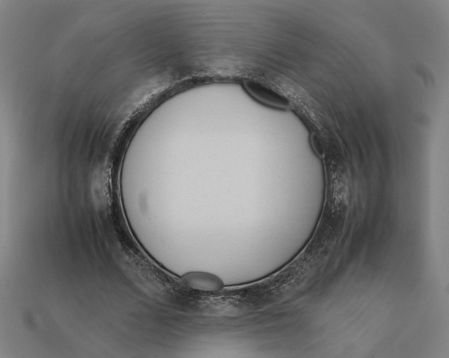 X0000112410680200909110950