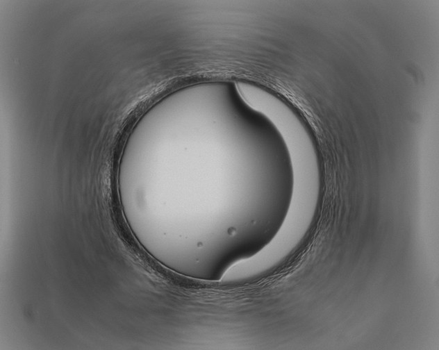 X0000112410681200909110950