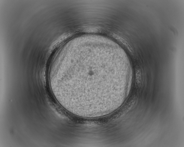 X0000112410682200909110950