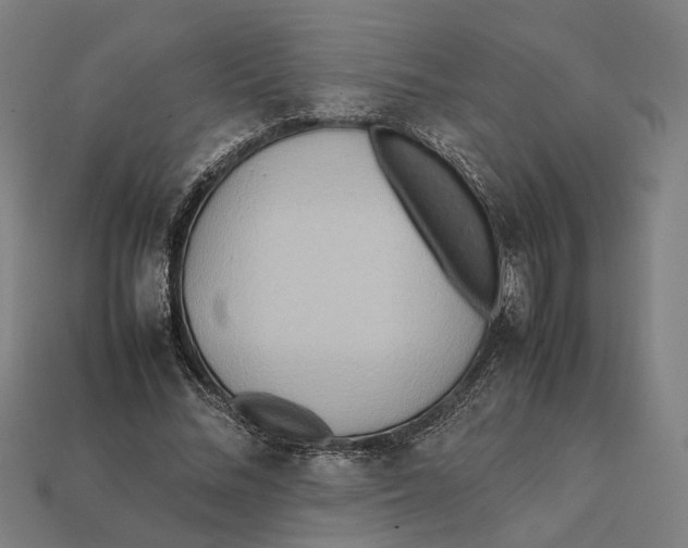 X0000112410684200909110950