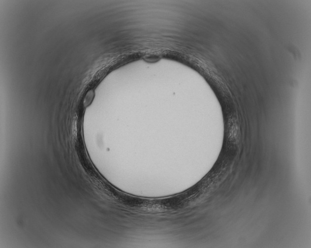 X0000112410685200909110950