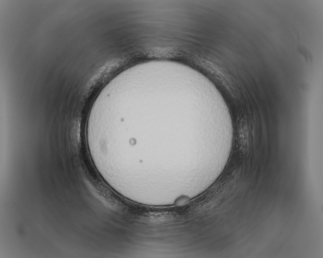X0000112410686200909110950