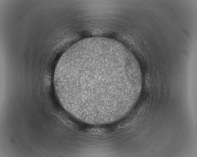 X0000112410691200909110950