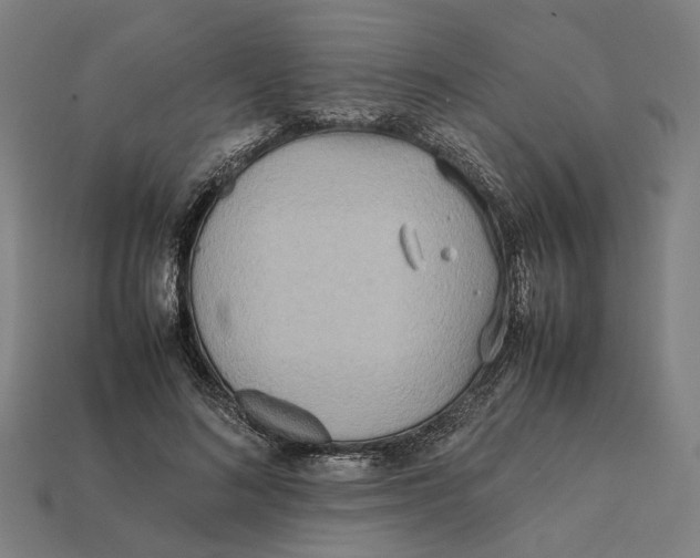 X0000112410692200909110950