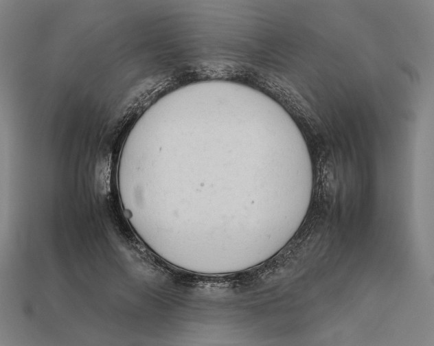 X0000112410694200909110950