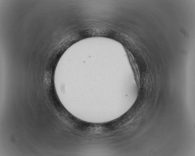 X0000112410695200909110950