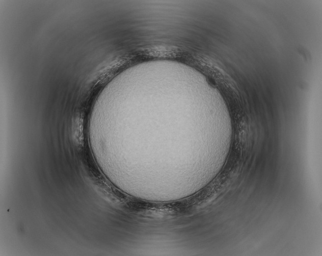 X0000112410696200909110950