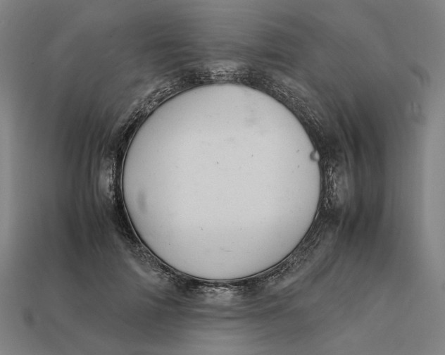 X0000112410698200909110950