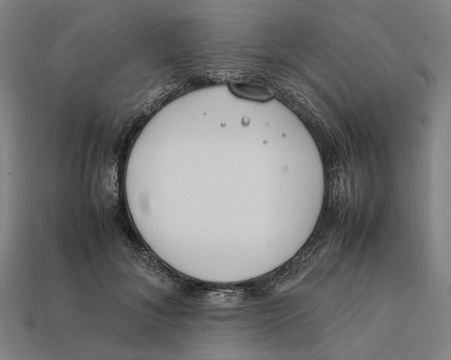 X0000112410700200909110950