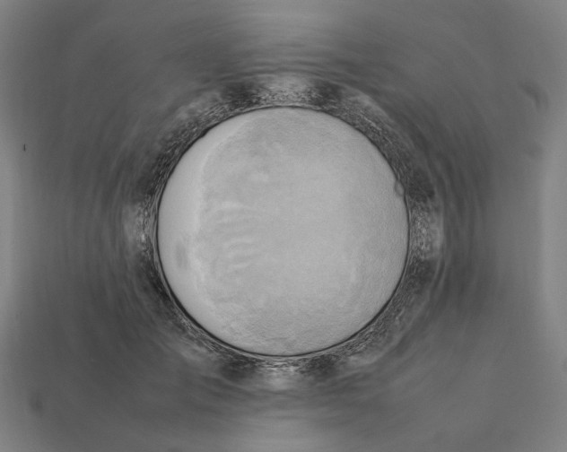 X0000112410701200909110950