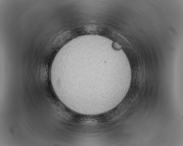 X0000112410702200909110950