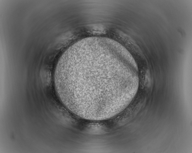 X0000112410704200909110950