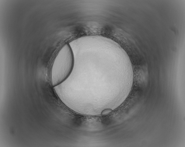 X0000112410709200909110950