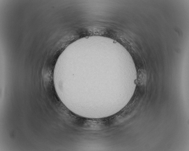 X0000112410713200909110950