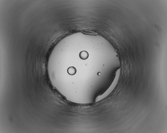 X0000112410716200909110950