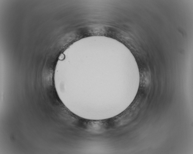 X0000112410717200909110950