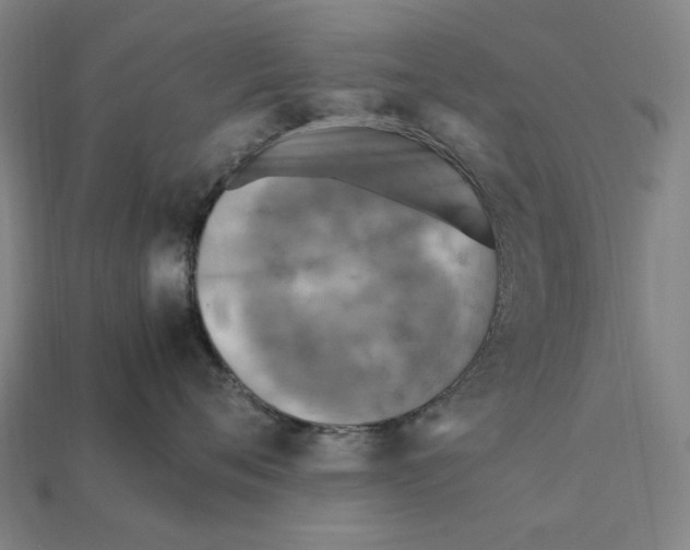 X0000112410720200909110950