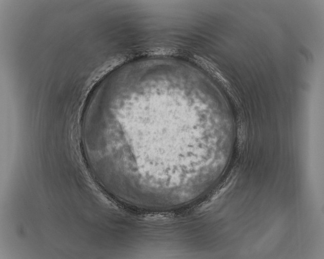 X0000112410721200909110949