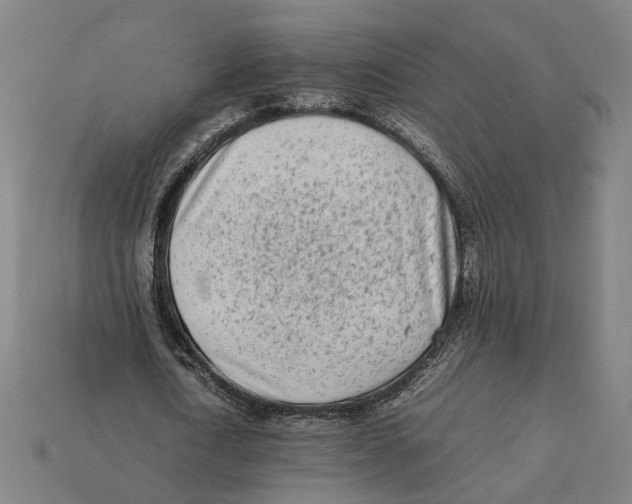 X0000112410722200909110949