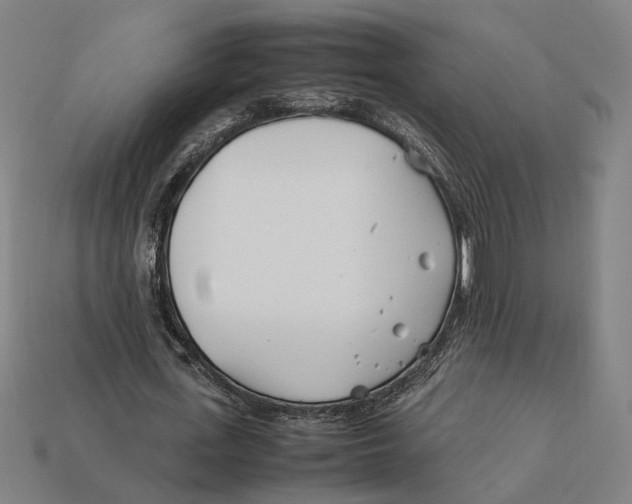 X0000112410723200909110949