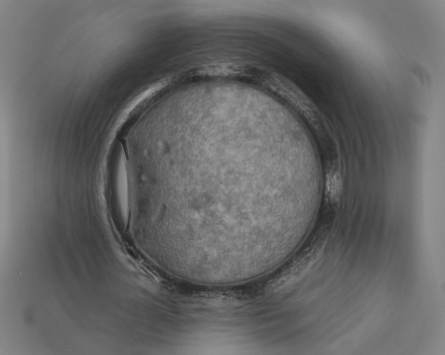 X0000112410724200909110949