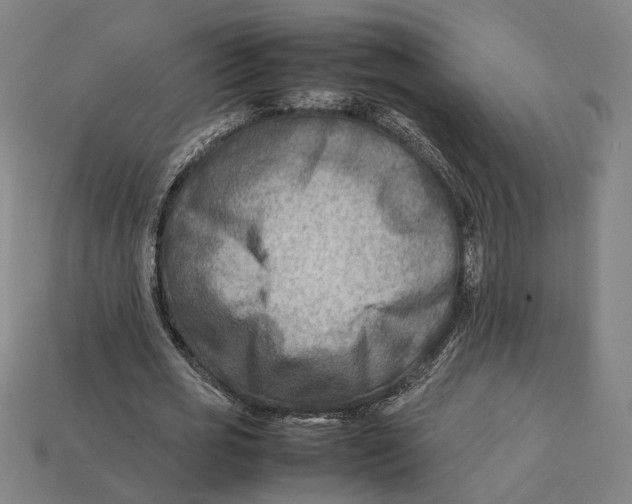 X0000112410725200909110949