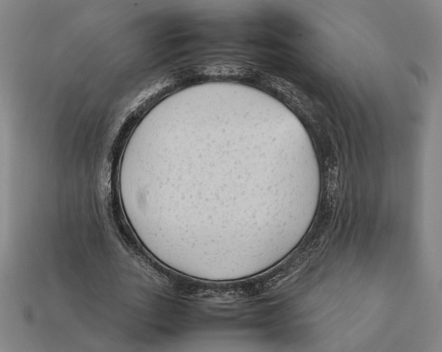 X0000112410727200909110949