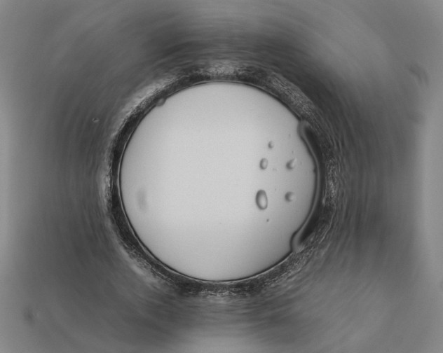 X0000112410728200909110949