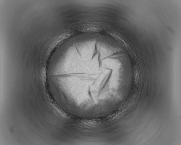 X0000112410729200909110949