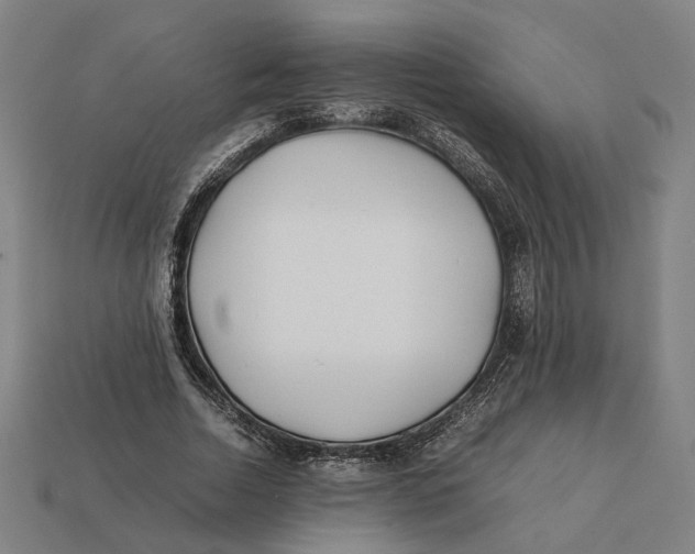 X0000112410730200909110949