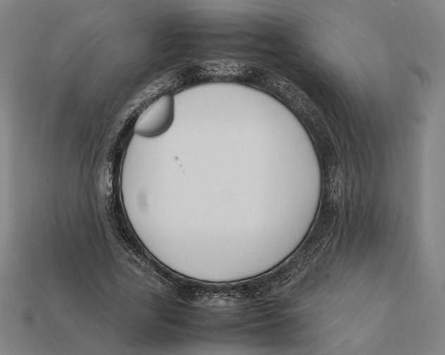 X0000112410731200909110949