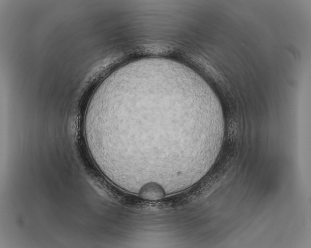 X0000112410736200909110949