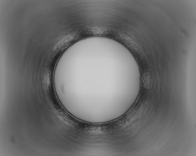 X0000112410740200909110949