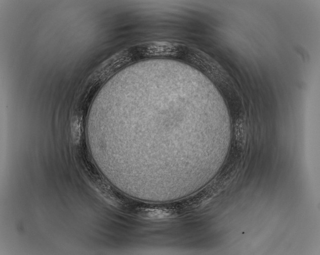 X0000112410741200909110949