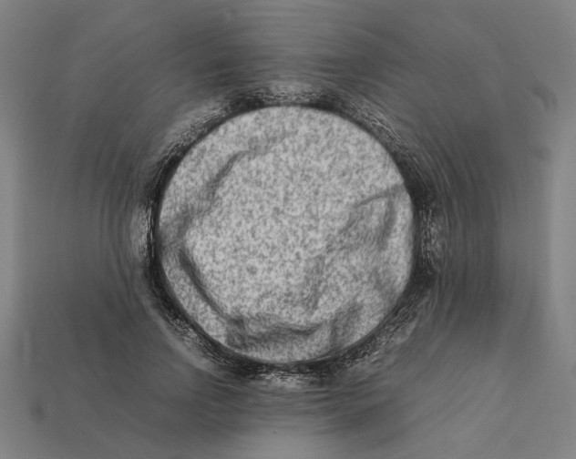 X0000112410742200909110949