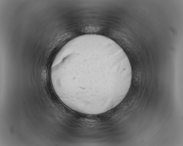 X0000112410743200909110949