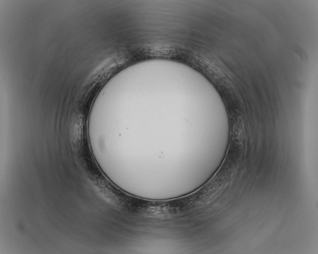 X0000112410744200909110949