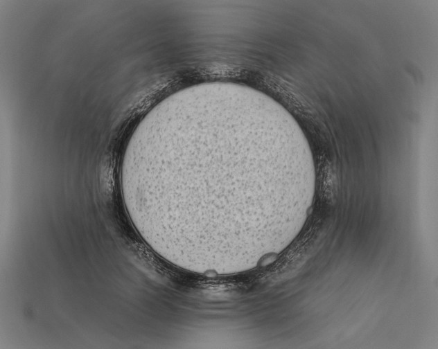 X0000112410746200909110949
