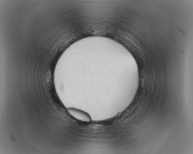 X0000112410748200909110949