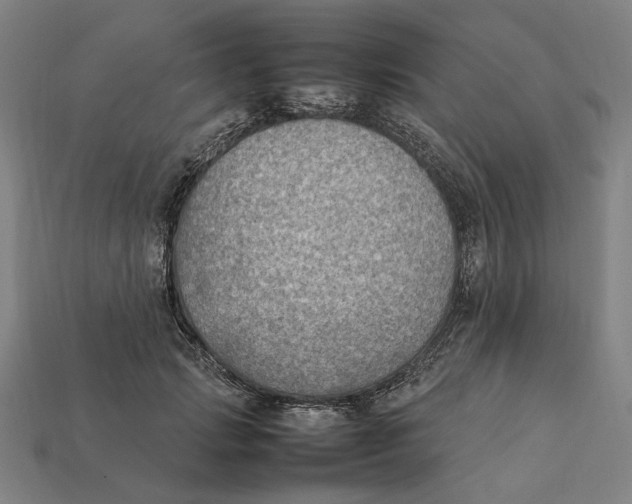 X0000112410749200909110949