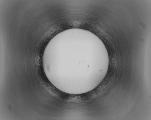 X0000112410750200909110949