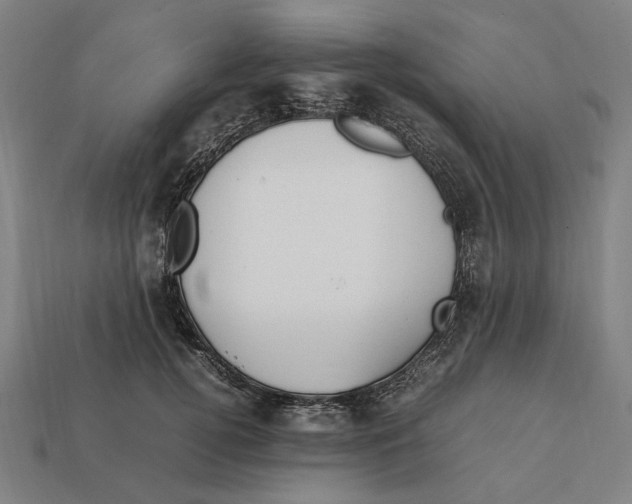 X0000112410752200909110949