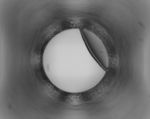 X0000112410756200909110949