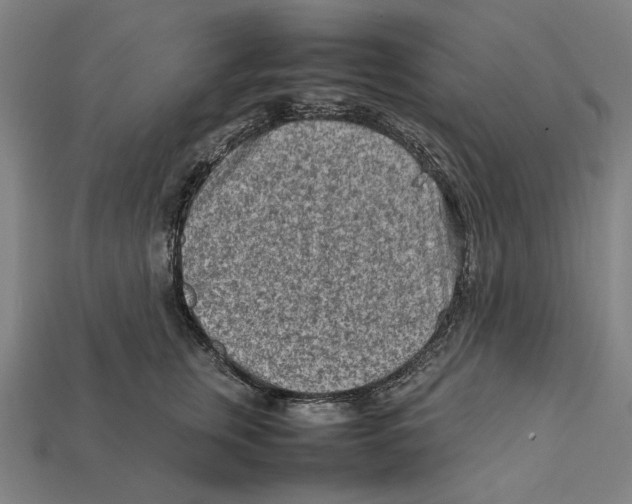 X0000112410759200909110949