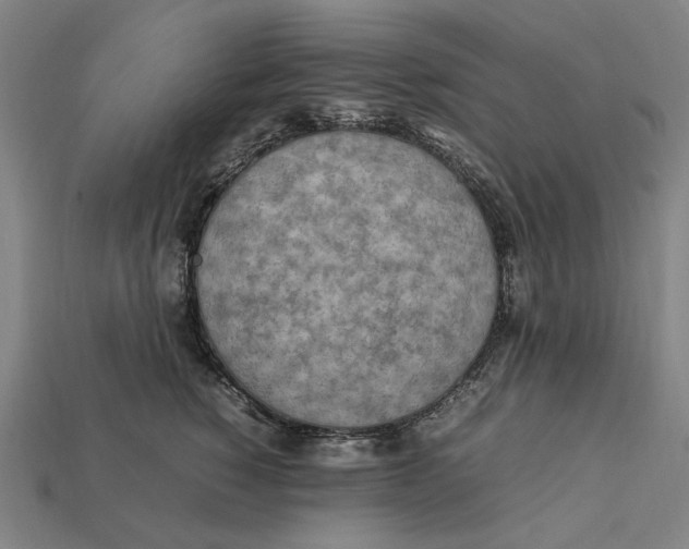 X0000112410760200909110949