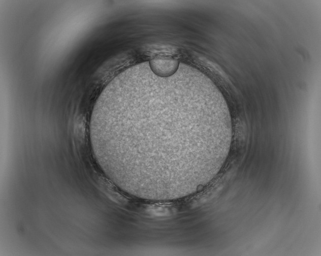 X0000112410761200909110949