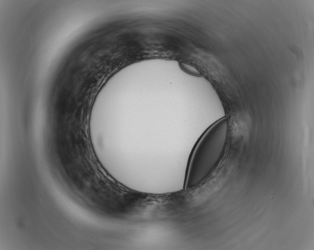 X0000112410764200909110949