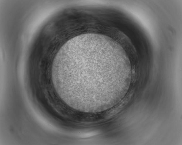 X0000112410765200909110950