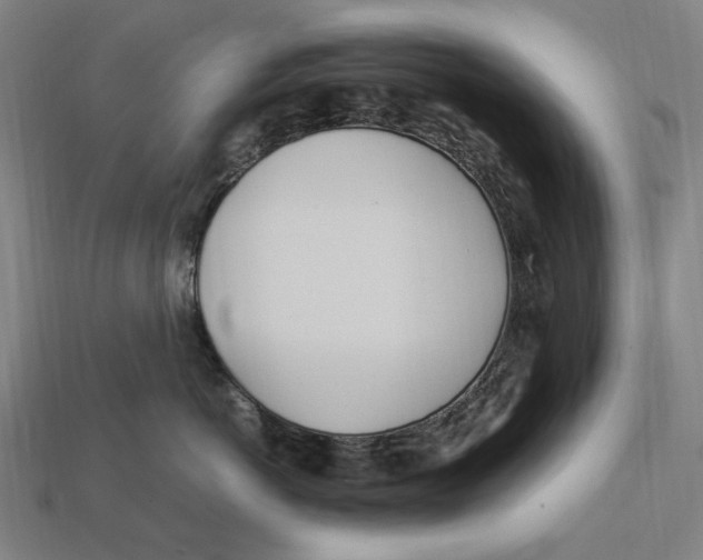 X0000112410766200909110950